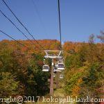 秋の那須、ロープウェイと吊橋のおススメ紅葉スポット