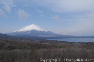 パノラマ台　富士山