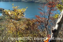 ココペリと景色