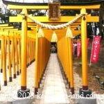 車中泊で巡るのんびり茨城の旅｜行程メモ（筑波山・偕楽園・牛久・つくば）